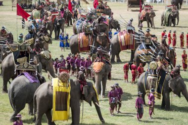 Filler geleneksel fil yuvarlak kadar festivalin bir Tayland Surin şehir stadyumunda Elaphant fuarında. Tayland, bir, Surin, Kasım, 2017