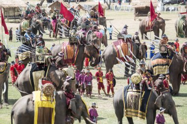 Filler geleneksel fil yuvarlak kadar festivalin bir Tayland Surin şehir stadyumunda Elaphant fuarında. Tayland, bir, Surin, Kasım, 2017