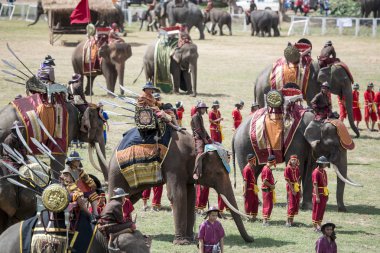 Filler geleneksel fil yuvarlak kadar festivalin bir Tayland Surin şehir stadyumunda Elaphant fuarında. Tayland, bir, Surin, Kasım, 2017
