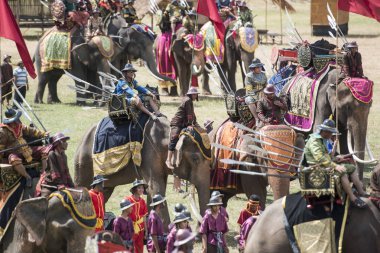 Filler geleneksel fil yuvarlak kadar festivalin bir Tayland Surin şehir stadyumunda Elaphant fuarında. Tayland, bir, Surin, Kasım, 2017