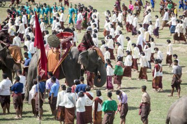 Filler geleneksel fil yuvarlak kadar festivalin bir Tayland Surin şehir stadyumunda Elaphant fuarında. Tayland, bir, Surin, Kasım, 2017