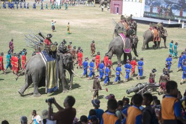 Filler geleneksel fil yuvarlak kadar festivalin bir Tayland Surin şehir stadyumunda Elaphant fuarında. Tayland, bir, Surin, Kasım, 2017