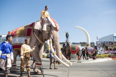 Filler Phaya Surin Pakdee Anıt veya geleneksel fil yuvarlak kadar festivalin bir Tayland Surin şehir meydanında fil. Tayland, bir, Surin, Kasım, 2017