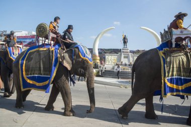 Filler Phaya Surin Pakdee Anıt veya geleneksel fil yuvarlak kadar festivalin bir Tayland Surin şehir meydanında fil. Tayland, bir, Surin, Kasım, 2017