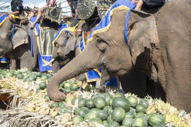 Filler ile lots-in meyve geleneksel fil yuvarlak kadar festivalin bir Tayland Surin şehir üzerinde fil açık büfe. Tayland, bir, Surin, Kasım, 2017