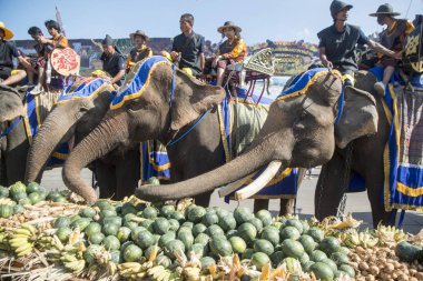 Filler ile lots-in meyve geleneksel fil yuvarlak kadar festivalin bir Tayland Surin şehir üzerinde fil açık büfe. Tayland, bir, Surin, Kasım, 2017
