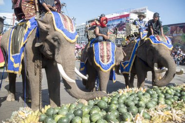 Filler ile lots-in meyve geleneksel fil yuvarlak kadar festivalin bir Tayland Surin şehir üzerinde fil açık büfe. Tayland, bir, Surin, Kasım, 2017