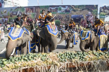 Filler ile lots-in meyve geleneksel fil yuvarlak kadar festivalin bir Tayland Surin şehir üzerinde fil açık büfe. Tayland, bir, Surin, Kasım, 2017
