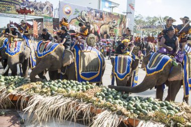 Filler ile lots-in meyve geleneksel fil yuvarlak kadar festivalin bir Tayland Surin şehir üzerinde fil açık büfe. Tayland, bir, Surin, Kasım, 2017