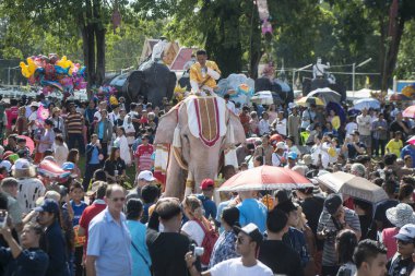 Beyaz fil Festivali'nde geleneksel fil yuvarlak kadar Tayland Isan Surin şehir içinde. Tayland, bir, Surin, Kasım, 2017