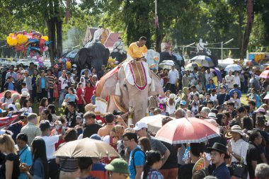 Beyaz fil Festivali'nde geleneksel fil yuvarlak kadar Tayland Isan Surin şehir içinde. Tayland, bir, Surin, Kasım, 2017