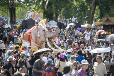 Beyaz fil Festivali'nde geleneksel fil yuvarlak kadar Tayland Isan Surin şehir içinde. Tayland, bir, Surin, Kasım, 2017