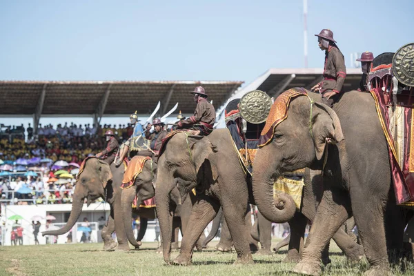 Elephants Elephant Show Stadium Traditional Elephant Festival City Surin Isan — Stock Photo, Image