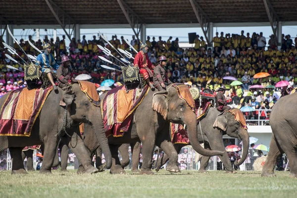 Elefantes Elephant Show Estádio Tradicional Elephant Festival Cidade Surin Isan — Fotografia de Stock