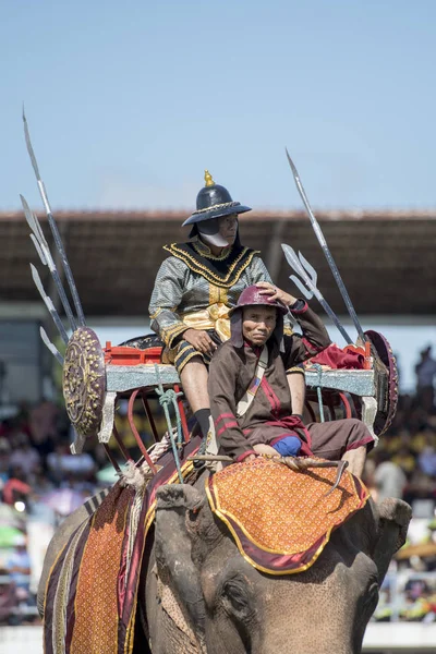 Olifanten Elaphant Show Het Stadion Het Traditionele Olifant Festival Stad — Stockfoto