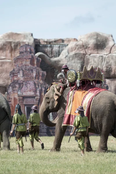 Слоны Elaphant Show Стадионе Традиционном Фестивале Elephant Festival Городе Сурин — стоковое фото