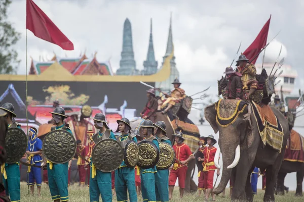 Elefántok Elaphant Show Fesztiválon Hagyományos Elefánt Kerek Fel Város Surin — Stock Fotó