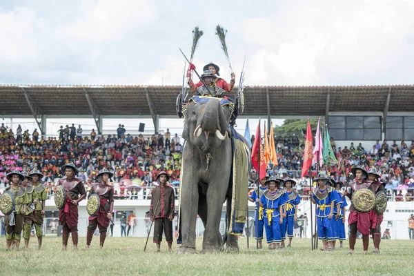 Elefántok Elaphant Show Fesztiválon Hagyományos Elefánt Kerek Fel Város Surin — Stock Fotó