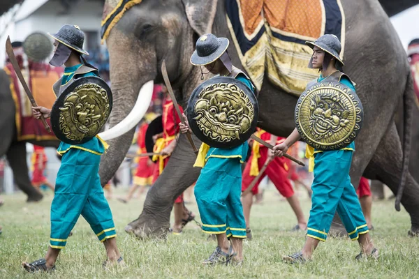 Történelmi Harcosok Elaphant Show Fesztiválon Hagyományos Elefánt Kerek Fel Város — Stock Fotó