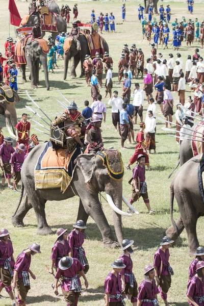 Elephants Elaphant Show Stadium Traditional Elephant Festival City Surin Isan — Stock Photo, Image