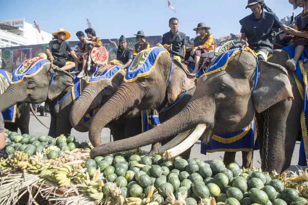 Filler ile lots-in meyve geleneksel fil yuvarlak kadar festivalin bir Tayland Surin şehir üzerinde fil açık büfe. Tayland, bir, Surin, Kasım, 2017