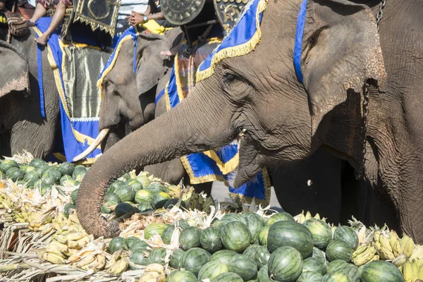 Filler ile lots-in meyve geleneksel fil yuvarlak kadar festivalin bir Tayland Surin şehir üzerinde fil açık büfe. Tayland, bir, Surin, Kasım, 2017