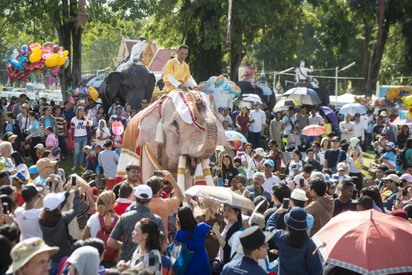 Beyaz fil Festivali'nde geleneksel fil yuvarlak kadar Tayland Isan Surin şehir içinde. Tayland, bir, Surin, Kasım, 2017