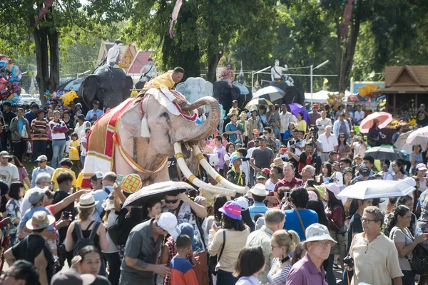 Beyaz fil Festivali'nde geleneksel fil yuvarlak kadar Tayland Isan Surin şehir içinde. Tayland, bir, Surin, Kasım, 2017