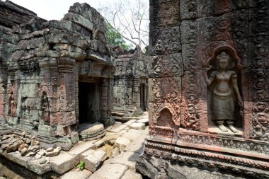 Kamboçya Siem Reap, Nisan 2014: Temple of Ta Prohm Tapınağı şehir Angkor Kamboçya Batı yakınındaki Siem Reap şehir içinde.   