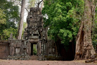 Kamboçya Siem Reap, Nisan 2014: Temple City Angkor Kamboçya Batı yakınındaki Siem Reap şehir kapı.   