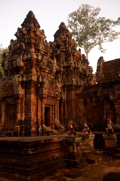 Les Ruines Tempel Banteay Srei Environ Nord Temple Ville Angkor — Photo