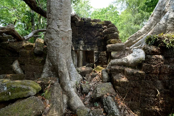 Camboya Siem Reap Abril 2014 Templo Prohm Ciudad Del Templo — Foto de Stock