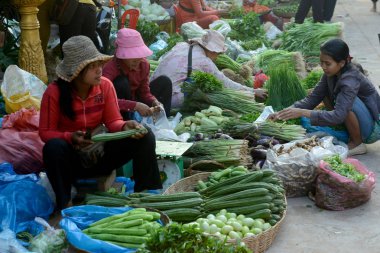 Kamboçya, Siem Reap, Nisan 2014: Siem şehir sabah pazarda gıda pazarında sebze biçmek Kamboçya'da.  