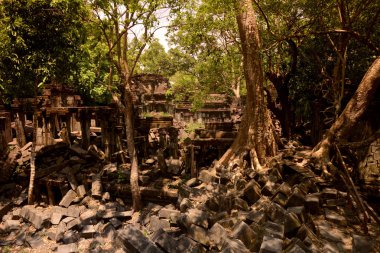 Tempel kalıntıları, Beng Mealea 32 Km kuzeyinde Angkor Temple City Batının Kamboçya Siem Reap şehir yakınında, görüntüleme.