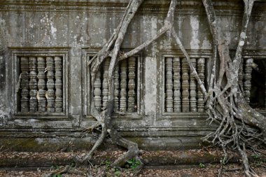 Pencerede Tempel kalıntıları, Beng Mealea 32 Km kuzeyinde Temple City Angkor Kamboçya Batı yakınındaki Siem Reap şehir.