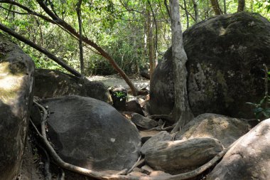 Kamboçya 'nın batısında Siem Reap şehrine yakın Angkor Tapınağı şehrinin km kuzeydoğusunda, Kbal Spean 'ın bin lingas 'ının nehrin yolu 50. 