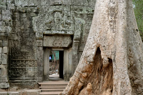 Preah Khan Templet Det Tempelstaden Angkor Nära Staden Siem Reap — Stockfoto
