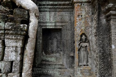 Ta Prohm Temple Temple City Angkor Kamboçya Batı yakınındaki Siem Reap şehir içinde