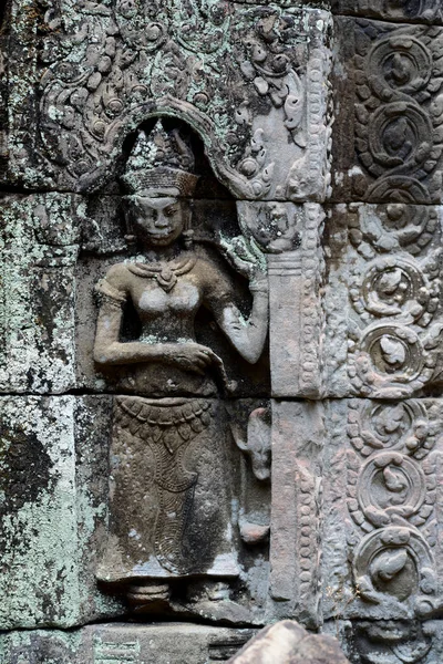 Cambodja Siem Reap April 2014 Tempel Van Prohm Temple City — Stockfoto