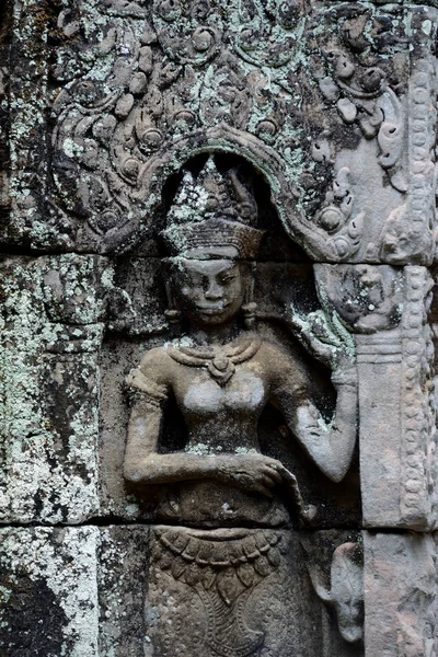 Cambodia Siem Reap April 2014 Temple Prohm Temple City Angkor — Stock Photo, Image