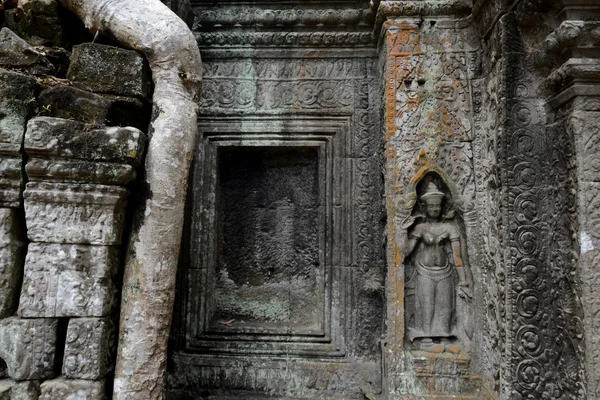 Der Tempel Des Prohm Der Tempelstadt Angkor Der Nähe Der — Stockfoto