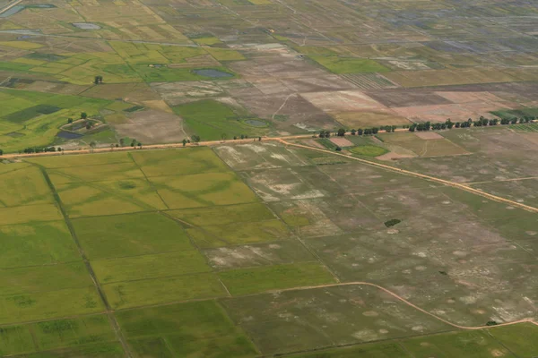 Scenic Landscape Ricefields City Siem Reap West Cambodia — Stock Photo, Image