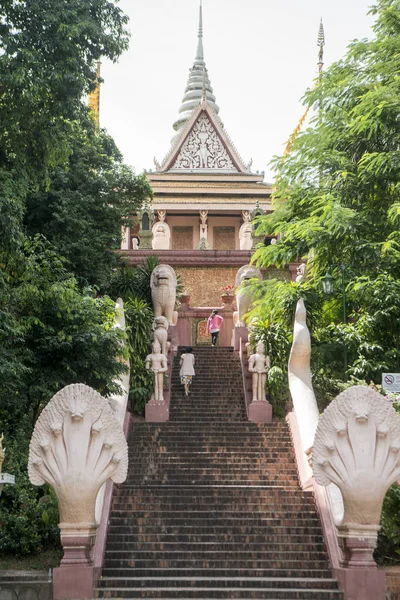 Kamboçya Phnom Penh Aralık 2017 Wat Phnom Park Tarihi Binalarda — Stok fotoğraf