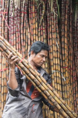 Kamboçya, Phnom Penh, 16 Aralık 2017: şeker kamışı ile Kandal markette çalışan adam 