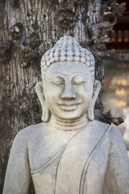Buda Wat Ounalom Tonle Sap River içinde şehir Phnom Penh, Kamboçya, taş