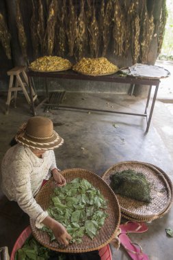 Kamboçya, Phnom Penh - 16 Aralık 2017: ipek ada veya Koh Dach çalışan kadın 
