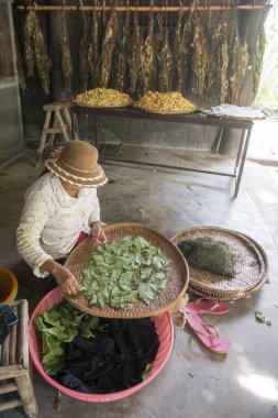 Kamboçya, Phnom Penh - 16 Aralık 2017: ipek ada veya Koh Dach çalışan kadın 