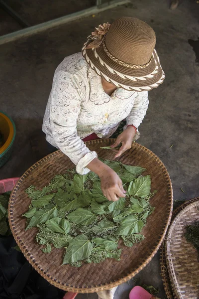 Camboya Phnom Penh Diciembre 2017 Mujer Que Trabaja Silk Island — Foto de Stock