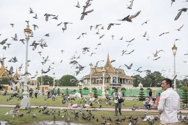 Phnom Penh Camboya Diciembre 2017 Palomas Voladoras Plaza Del Palacio —  Fotos de Stock