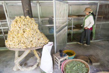 Siam Square InCity ipek üretimde Bangkok Tayland, Southeastasia